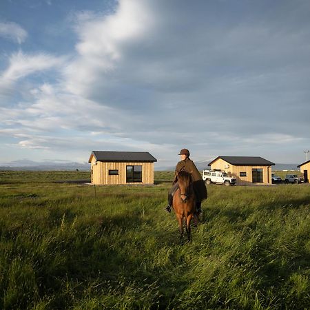 Sleeping With The Horses Apartment Hvolsvollur ภายนอก รูปภาพ