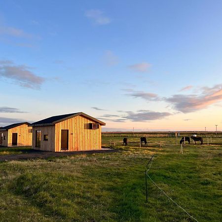 Sleeping With The Horses Apartment Hvolsvollur ภายนอก รูปภาพ
