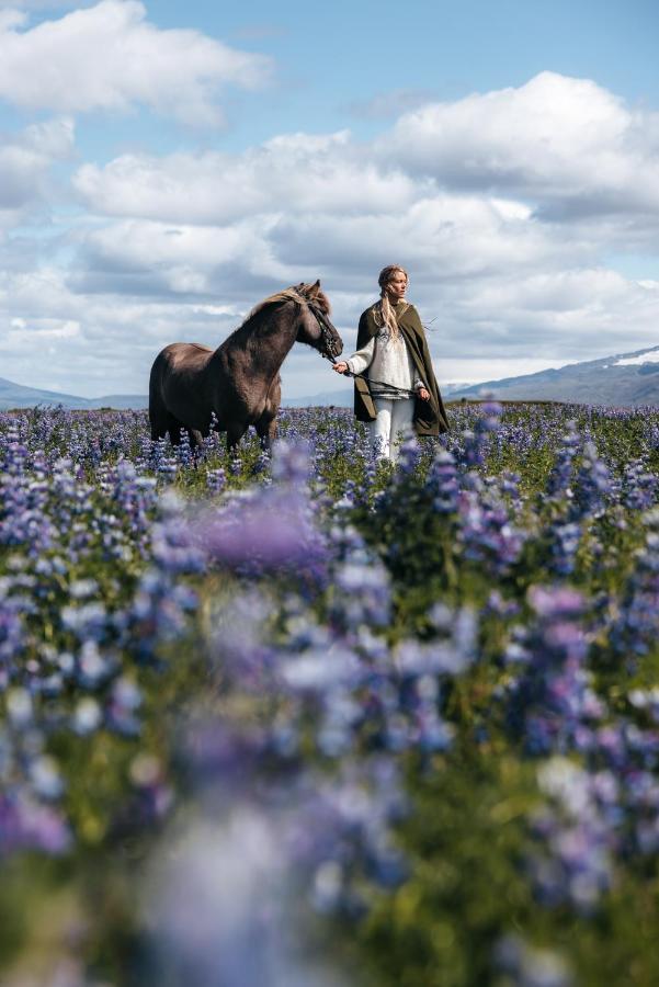 Sleeping With The Horses Apartment Hvolsvollur ภายนอก รูปภาพ