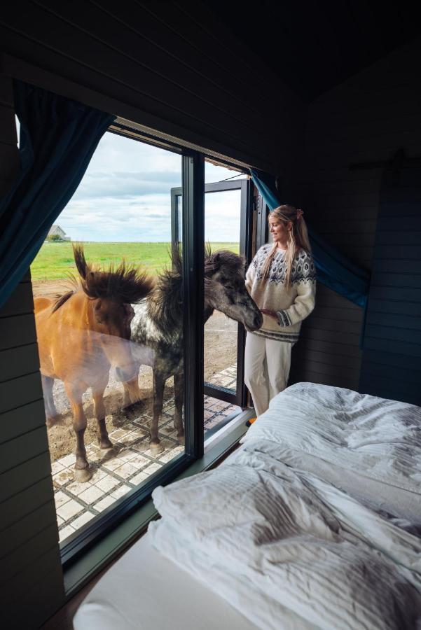 Sleeping With The Horses Apartment Hvolsvollur ภายนอก รูปภาพ
