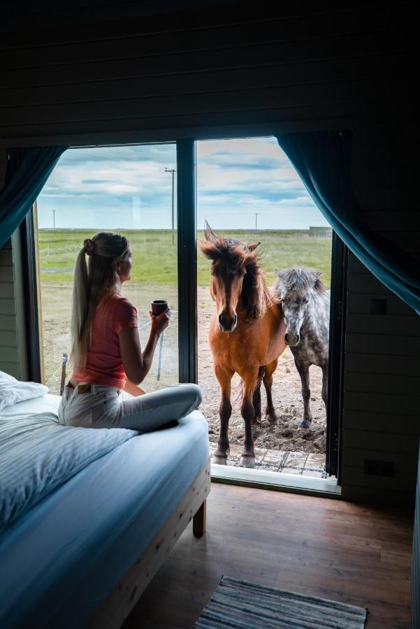 Sleeping With The Horses Apartment Hvolsvollur ภายนอก รูปภาพ