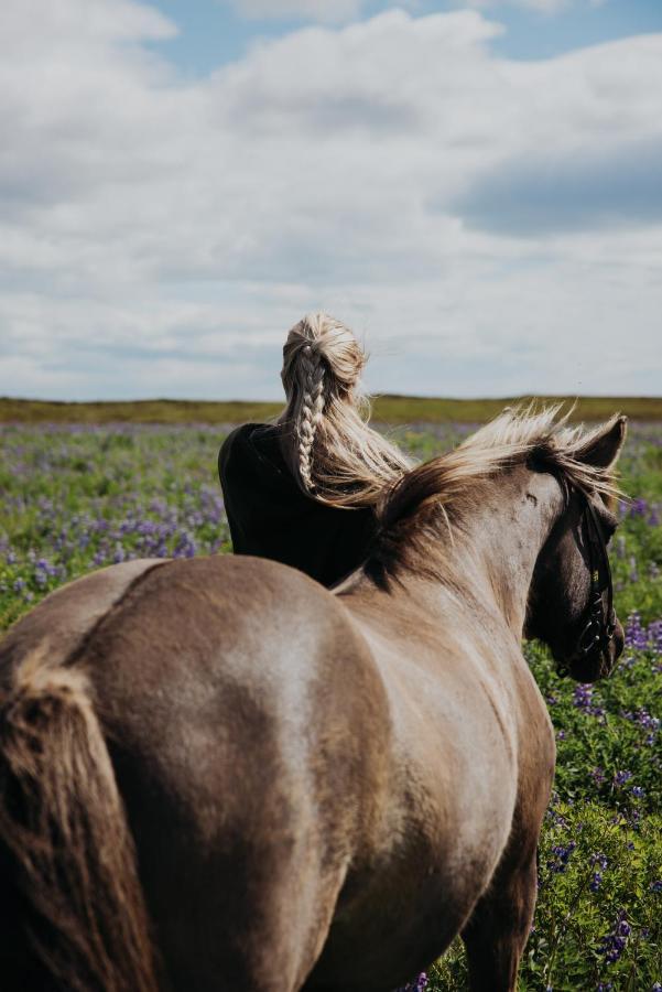 Sleeping With The Horses Apartment Hvolsvollur ภายนอก รูปภาพ