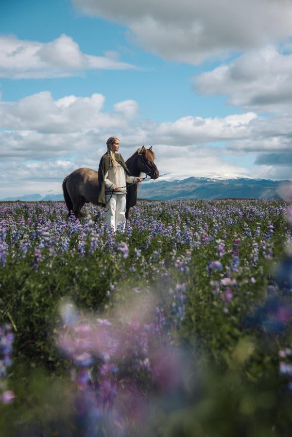 Sleeping With The Horses Apartment Hvolsvollur ภายนอก รูปภาพ