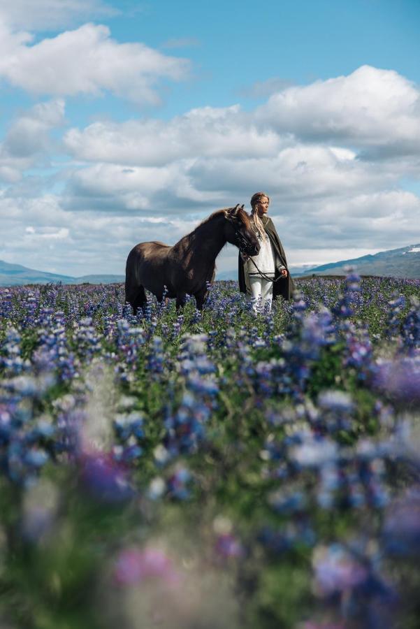 Sleeping With The Horses Apartment Hvolsvollur ภายนอก รูปภาพ