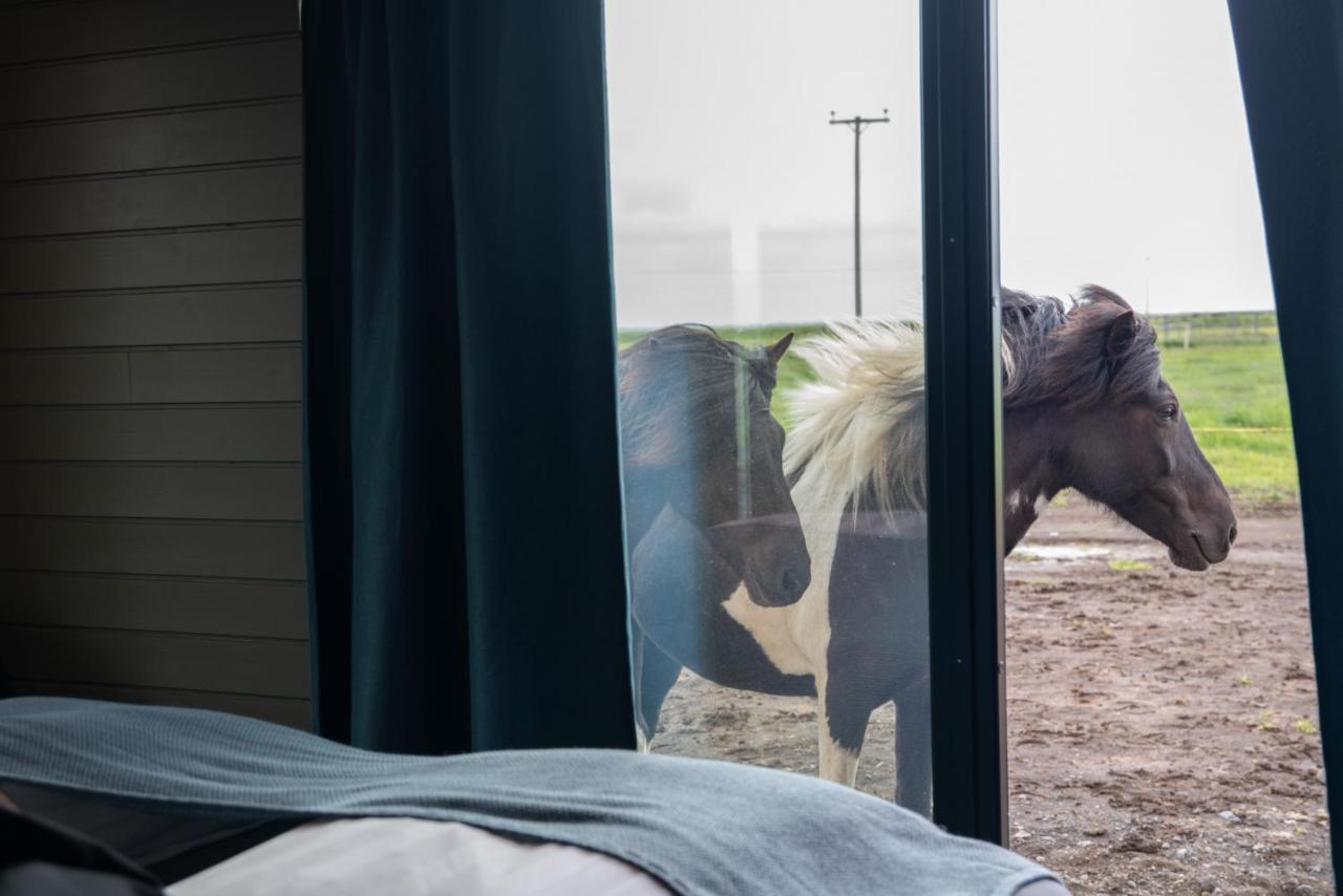 Sleeping With The Horses Apartment Hvolsvollur ภายนอก รูปภาพ