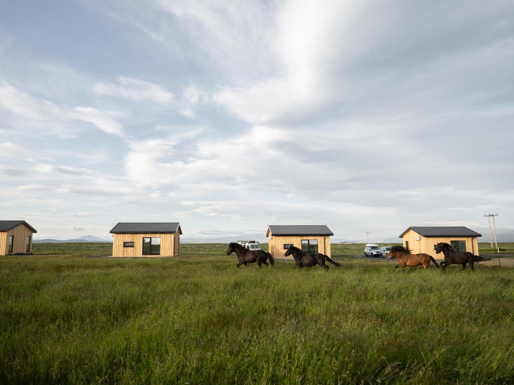 Sleeping With The Horses Apartment Hvolsvollur ภายนอก รูปภาพ