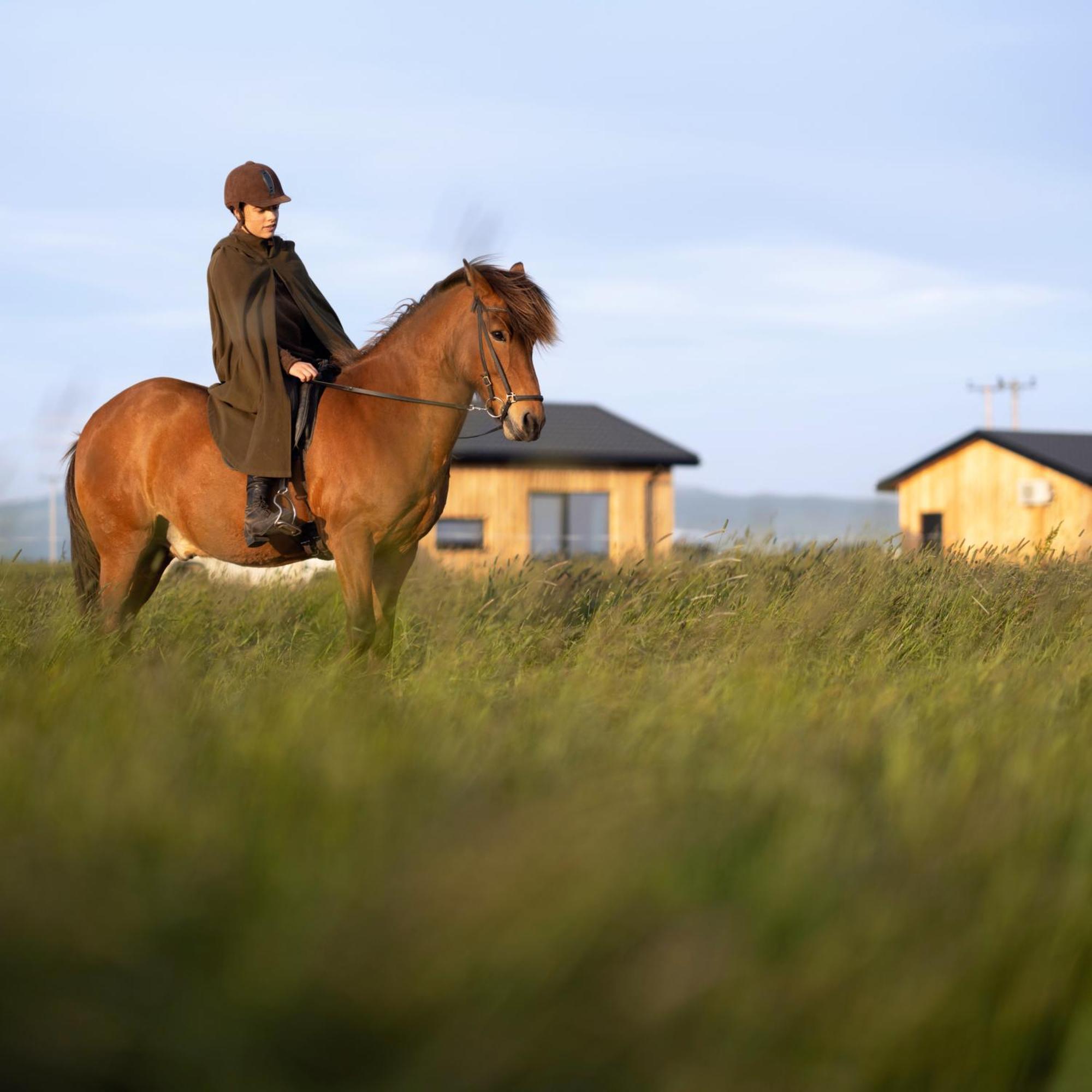 Sleeping With The Horses Apartment Hvolsvollur ภายนอก รูปภาพ