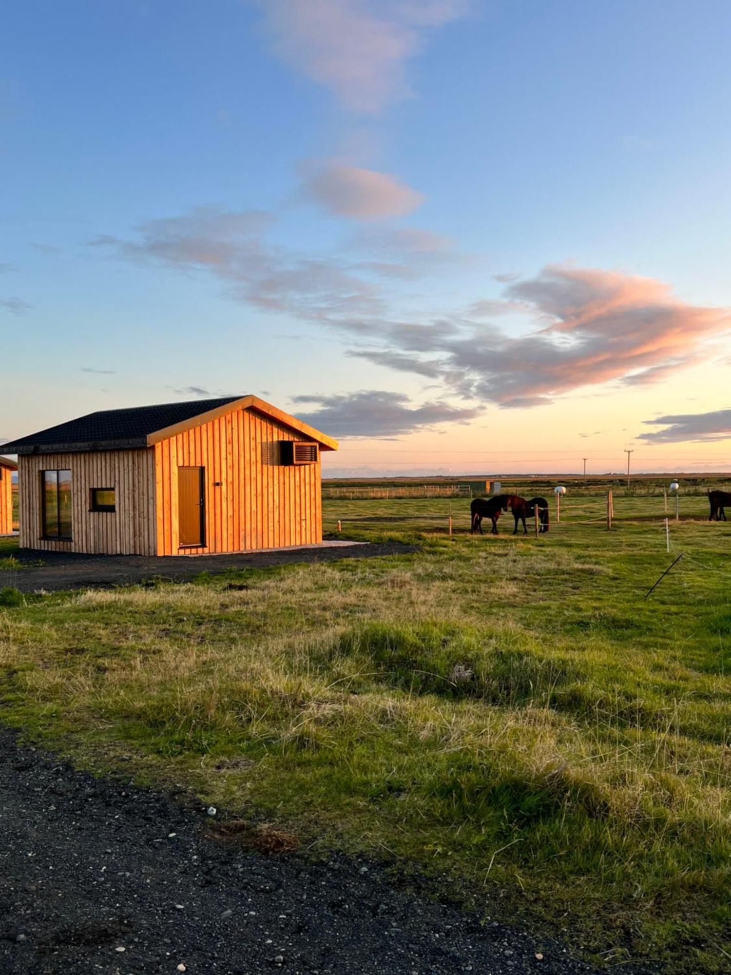 Sleeping With The Horses Apartment Hvolsvollur ภายนอก รูปภาพ