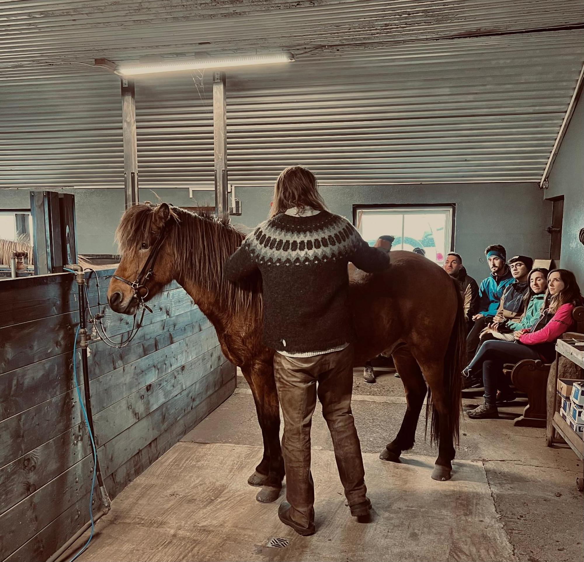 Sleeping With The Horses Apartment Hvolsvollur ภายนอก รูปภาพ