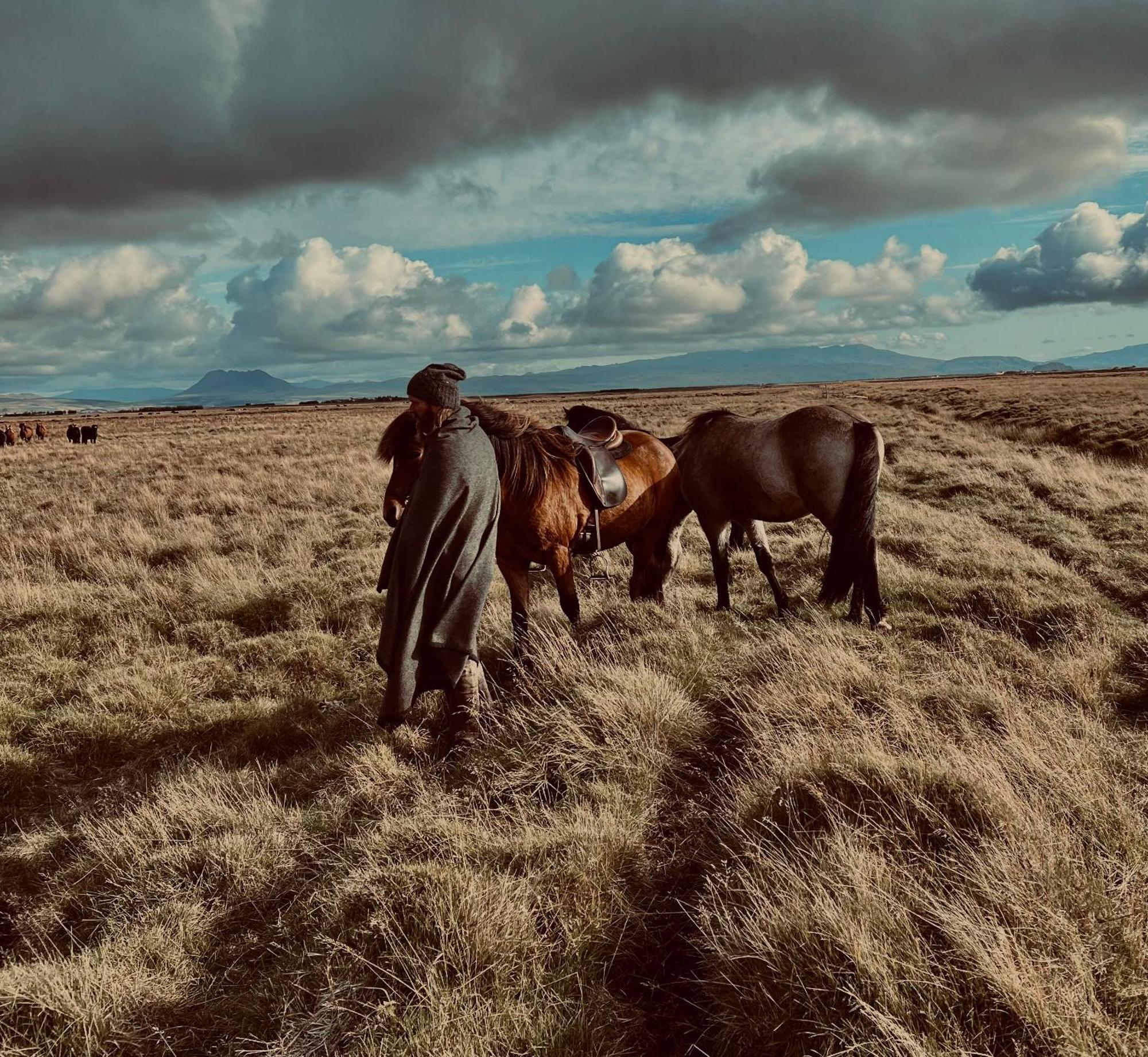 Sleeping With The Horses Apartment Hvolsvollur ภายนอก รูปภาพ